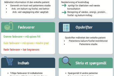 Ernæringshjemmeside til patienter med kronisk nyresygdom