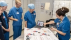Digital vidensdeling og kompetence-vedligeholdelse