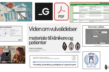 Viden om Vulvalidelser: Forbedret og omkostningseffektiv indsats for k...