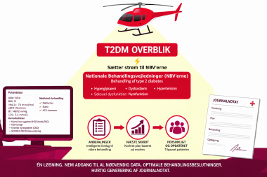 T2DM OVERBLIK